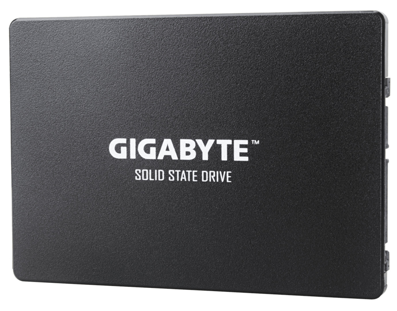 Gigabyte GP-GSTFS31480GNTD drives allo stato solido 2.5